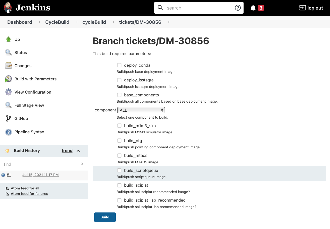 Jenkins build with parameters page